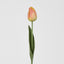 Liv Soft Touch Tulip Orange
45cm (Set of 60)