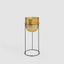 Tuscan Standing Wine Cooler Medium
