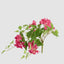 UV Trailing Bougainvillea Bush Fuchsia (Set of 6)