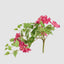 UV Trailing Bougainvillea Bush Fuchsia (Set of 6)