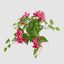UV Trailing Bougainvillea Bush Fuchsia (Set of 6)