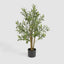 Potted Olive Tree 90cm