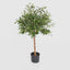 Olive Green Topping Tree 70cm