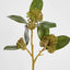 Magnolia Berry Spray 80cm Burgundy (Set of 6)