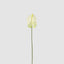 Anthurium Lily Real Touch White (Set of 24)