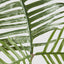Philodendron Tortum Leaf Spray 81cm (Set of 12)