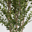 Eucalyptus Mini Leaf Tree 180cm Green (Set of 2)