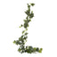 Ivy Garland 1.8m Green (Set of 12)