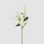 Casablanca 76cm Floral Stem White (Set of 12)