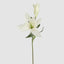 Casablanca 76cm Floral Stem White (Set of 12)