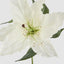 Casablanca 76cm Floral Stem White (Set of 12)