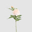 Peony 69cm Floral Stem Blush Pink (Set of 12)