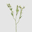 Thistle Spray 73cm White (Set of 12)