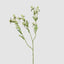 Thistle Spray 73cm White (Set of 12)