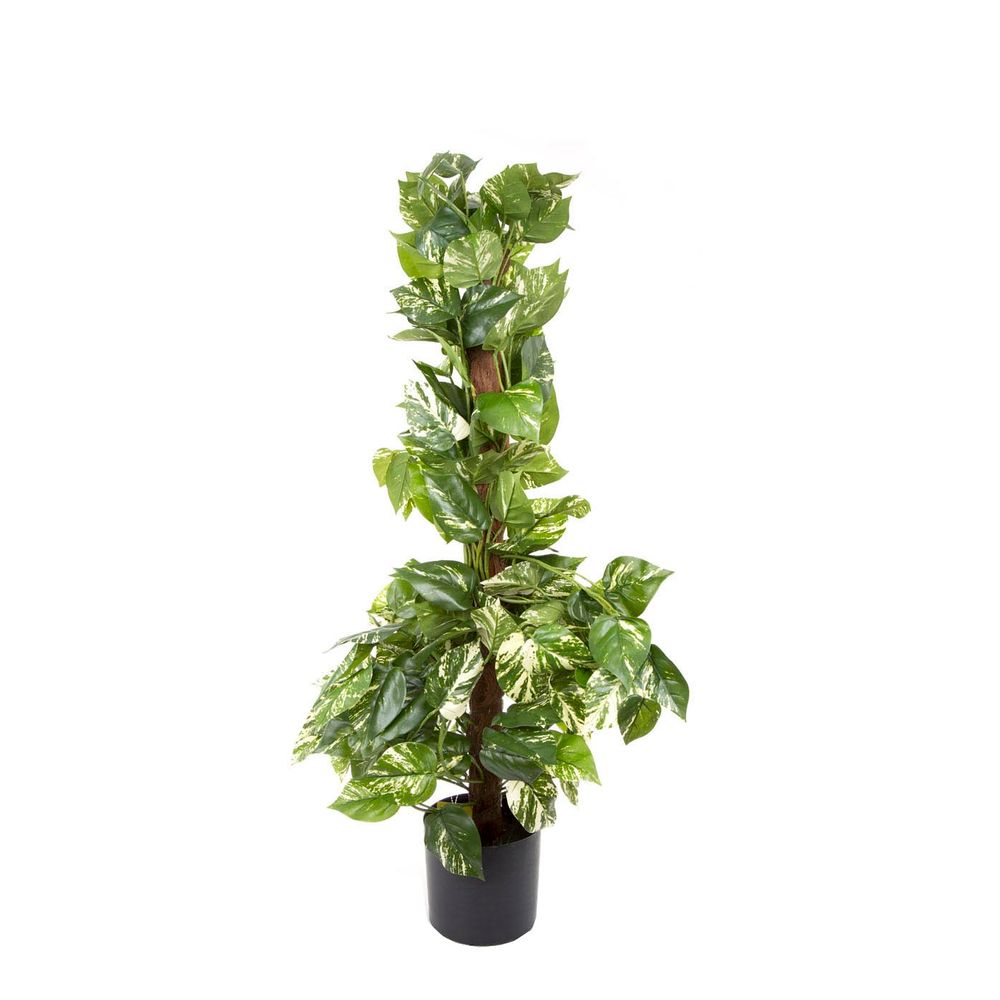 Artificial Pothos Vines on Coconut Pole 90cm 200Lvs - House of Isabella AU