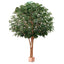 Artificial 4.6M Giant Ficus x4 W/48800 Lvs - House of Isabella AU