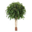 Artificial 6.1M Giant Ficus Exotica 35580 Lvs - House of Isabella AU