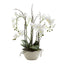 Orchid Real Touch 60cm in White Pot Silver Rim