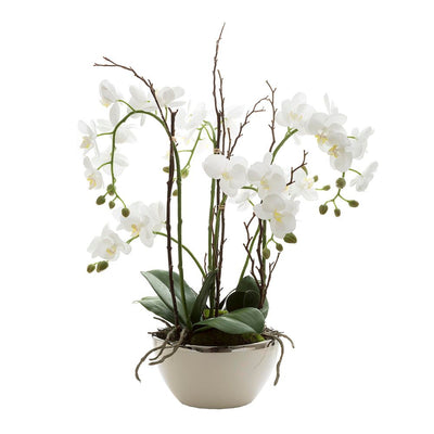 Artificial Orchid R/Touch in Wht Pot Silver Rim - House of Isabella AU