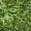 Variegated Foliage Wall UV Treated 1x1m
