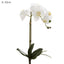 Orchids Phalaenopsis Real Touch with Leaves 53cm White - Pack of 12
