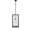 Archie Rose Large Hanging Lamp.