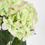 Hydrangea Bundle with Leaves 55cm Green & Pink