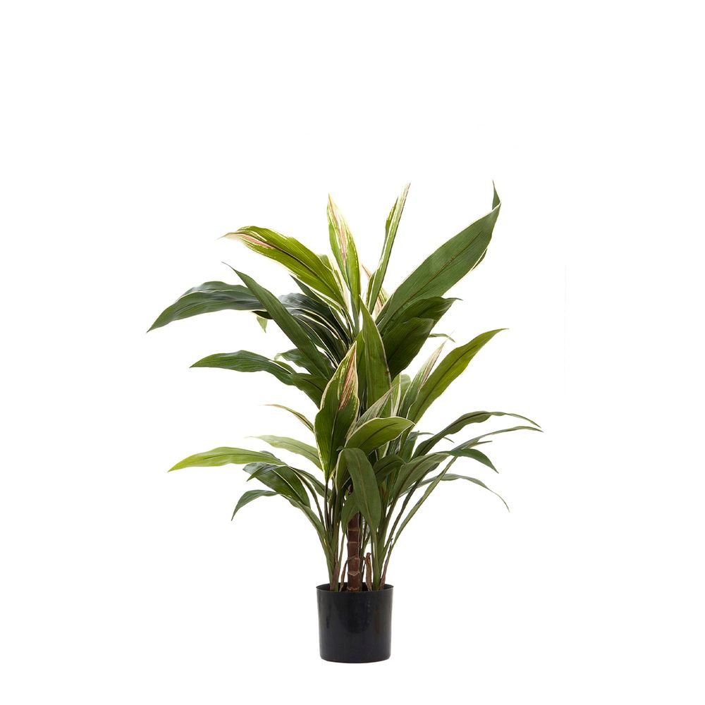 Artificial Cordyline Tree x7 70cm - House of Isabella AU