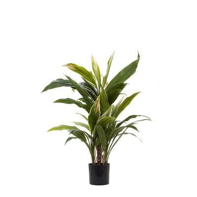 Artificial Cordyline Tree x7 70cm - House of Isabella AU