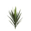 Yucca Head Green 64cm