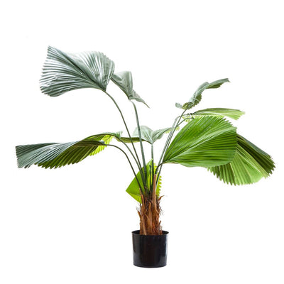 Fan Palm 1.22m W/10 Leaves - House of Isabella AU