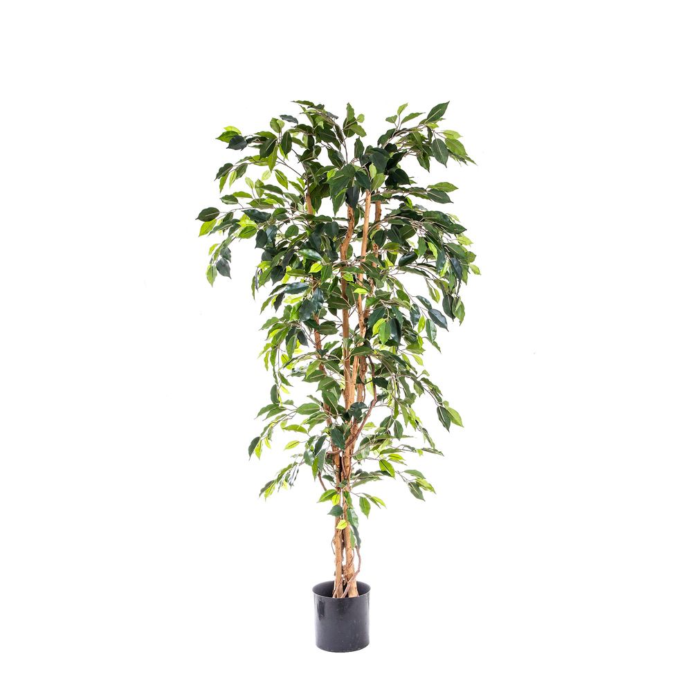 Artificial Ficus Tree 1.7m - House of Isabella AU