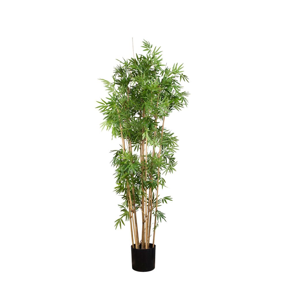 Artificial Japanese Bamboo Tree 1.6m - House of Isabella AU