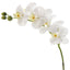 Orchid Phalaenopsis Real Touch 75cm White - Pack of 12