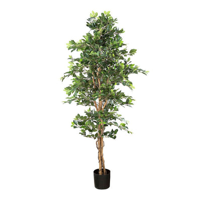 Artificial Ficus Retusa Bush Tree 1.8m - House of Isabella AU