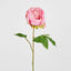 Peony Spray 60cm Pink - Pack of 12