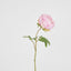 Peony Spray 60cm Pink - Pack of 12