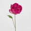 Peony Spray 60cm Fuchsia - Pack of 12