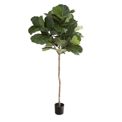 Artificial 215cm Fiddle Leaf Tree w/61 Lvs