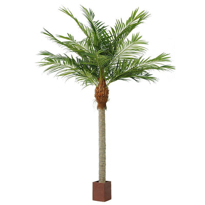 Artificial 4.9m Majesty Palm w 1664 Lvs - House of Isabella AU