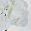 Hydrangea 50cm Snow White