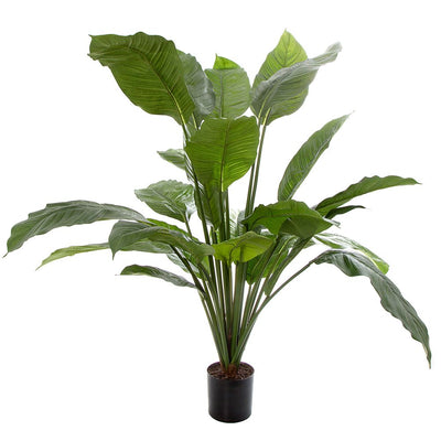 Artificial 100cm Spathiphyllum Potted 24 - House of Isabella AU