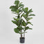 Fiddle Leaf Tree 1.33m