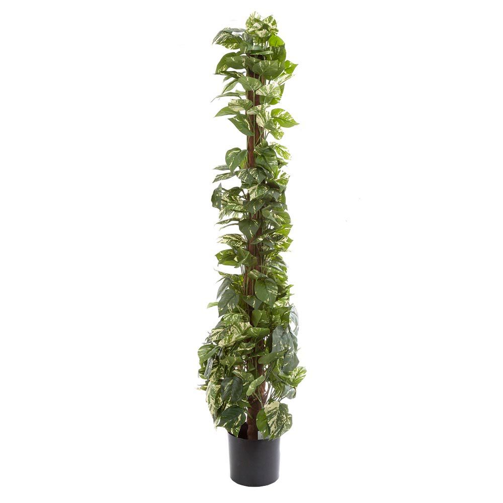 Artificial Pothos Vines on Coconut Pole 1.5m 300Lvs - House of Isabella AU