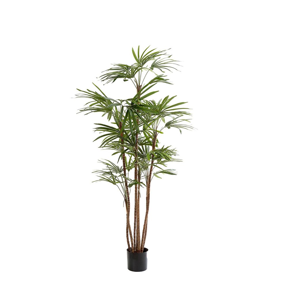 Artificial 1.2m Honey Lady Palm x7 432 Lvs - House of Isabella AU