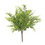 Fern Bush 45cm