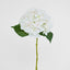 Hydrangea Stem 62cm White - Pack of 12