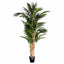 Artificial Areca Palm Real Touch 1.9m - House of Isabella AU