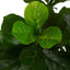 Artificial Fiddle Leaf Tree 1.75m - House of Isabella AU