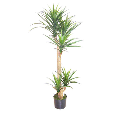 Artificial Yucca Head Tree in Plastic Pot 1.5m - House of Isabella AU